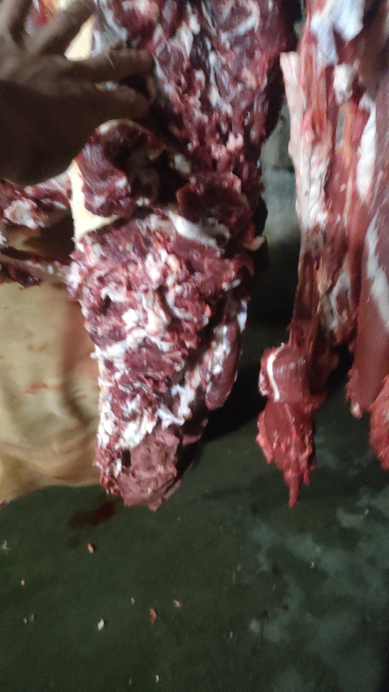 自家养殖，贵州烫皮牛肉。质量保证，整头牛脚，牛尾，牛内送