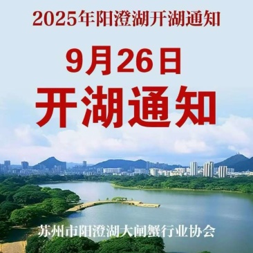 阳澄湖大闸蟹