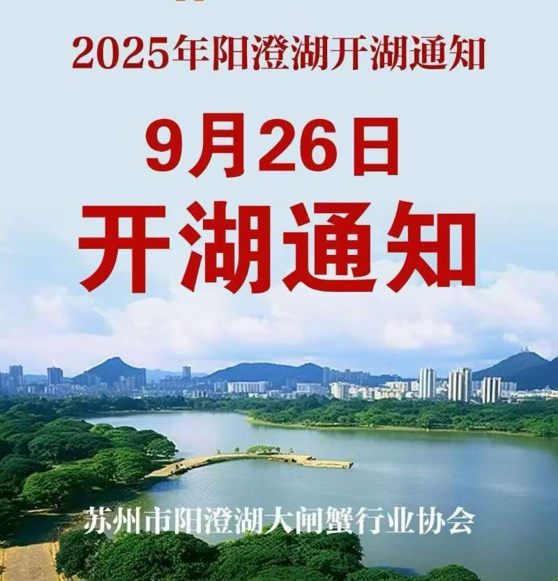阳澄湖大闸蟹
