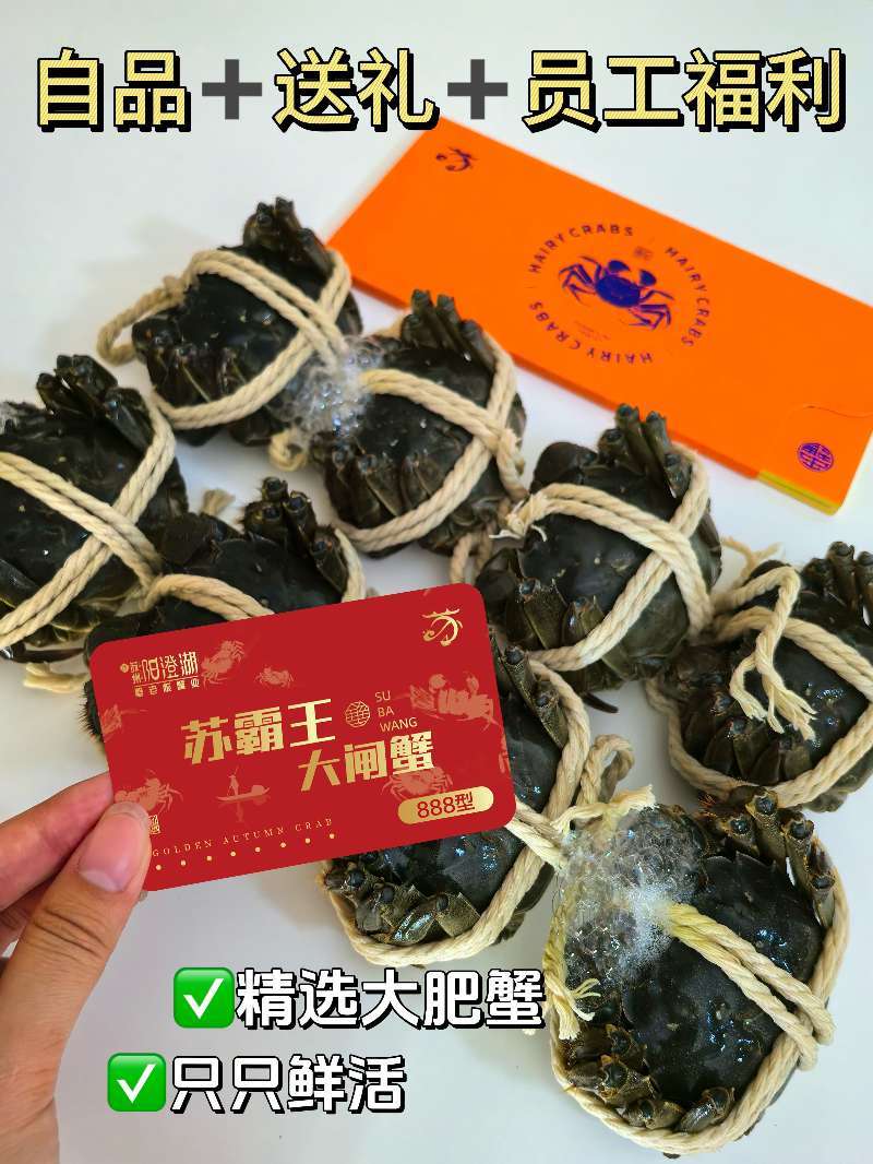 阳澄湖大闸蟹
