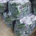 【腌黄瓜】莘县大量供应腌制黄瓜，量大价格从优，可视频看货