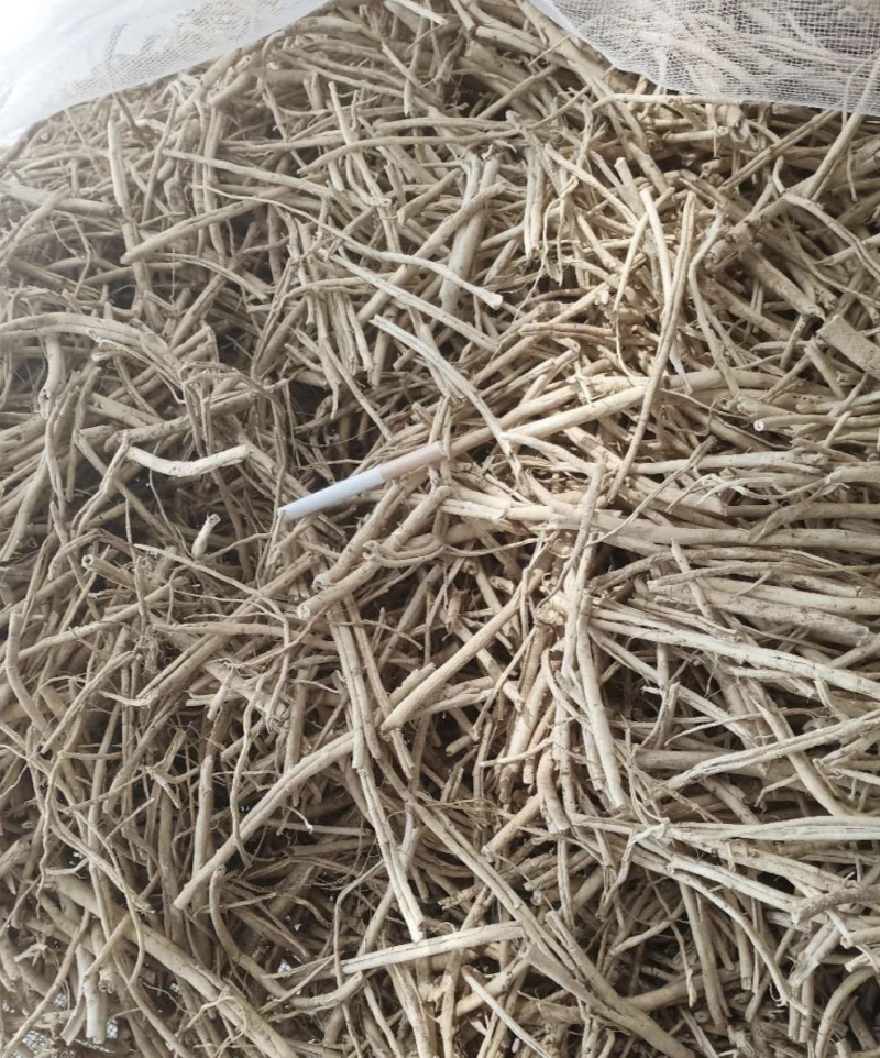 白鲜皮，