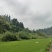 草坪