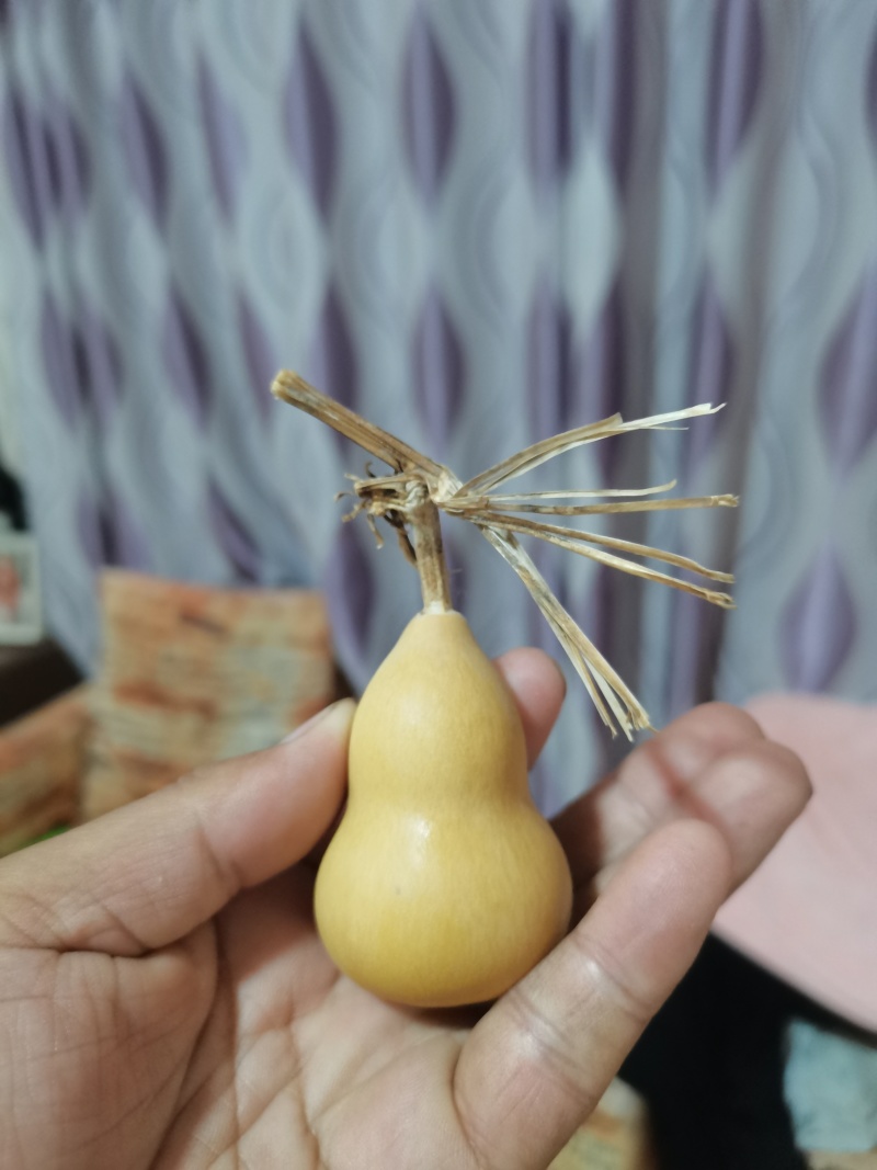 文玩葫芦有意者联系