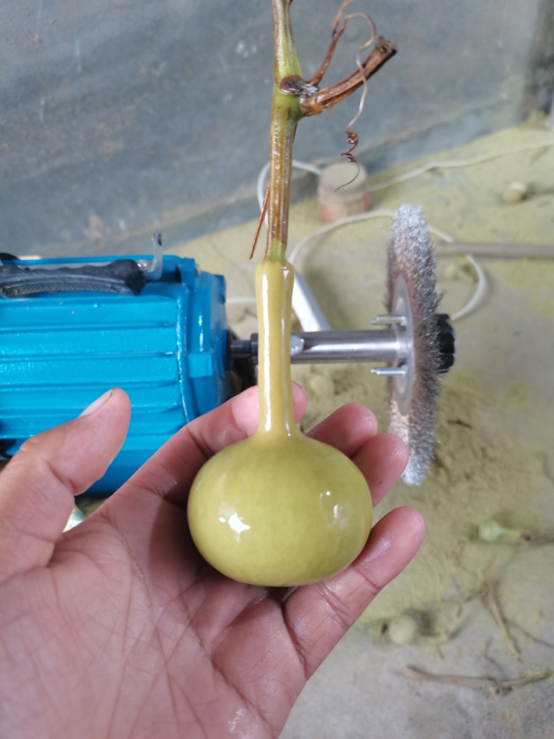 文玩葫芦有意者联系