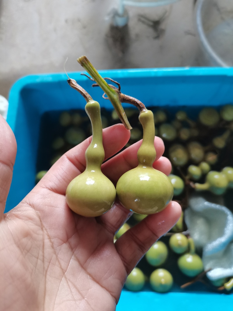 新下架的文玩葫芦，各种八宝葫芦