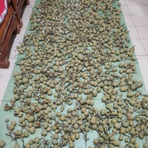新下架的文玩葫芦，各种八宝葫芦