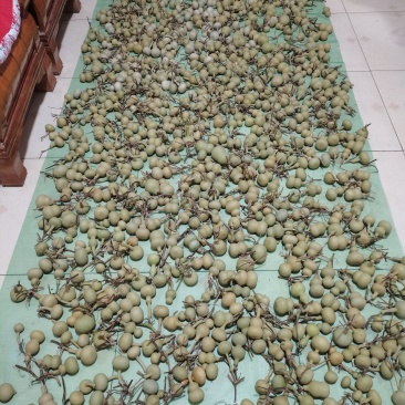 新下架的文玩葫芦，各种八宝葫芦