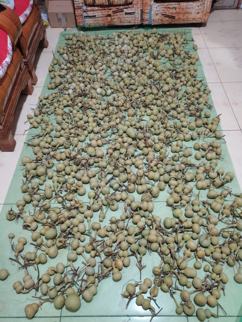 新下架的文玩葫芦，各种八宝葫芦