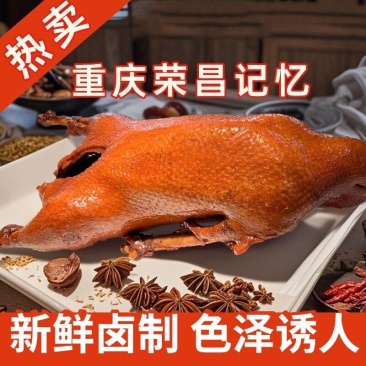 荣昌风味卤鹅现做现发餐饮商超团购电商一件代发全平台