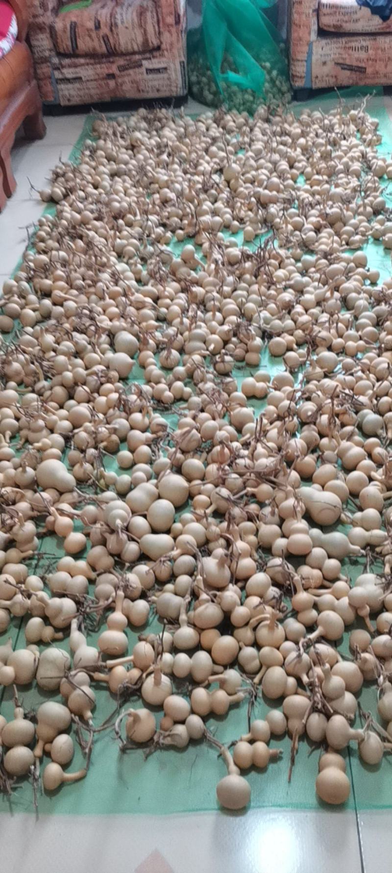 新下架的文玩葫芦，各种八宝葫芦