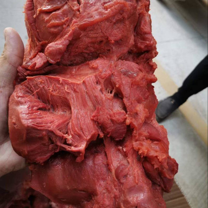 猪龟鉴猪前鉴猪后键餐饮商超礼品赠送。电商一件代发