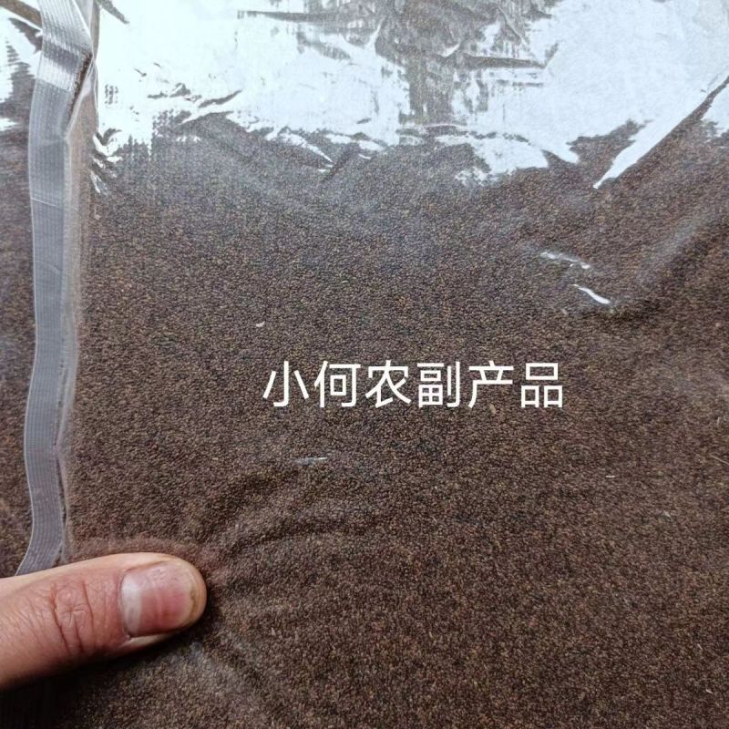 四川大竹苎麻种子青麻种子优质良种