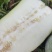 长白条冬瓜是大量有货到十二月底都有精品货，高水桶的也有，