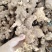 新鲜下山货滇黄精