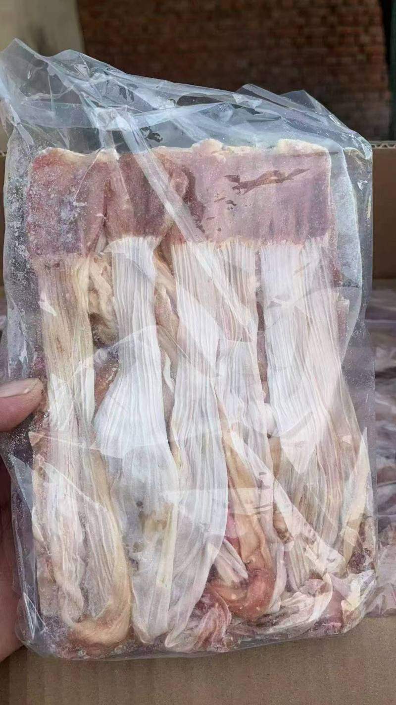 老麻鸭食带，鸭板肠