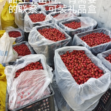 甜红子山楂***********
