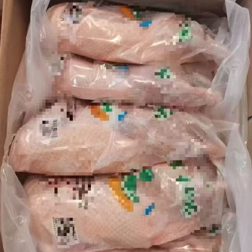 半鸭