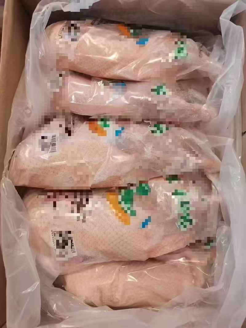 半鸭