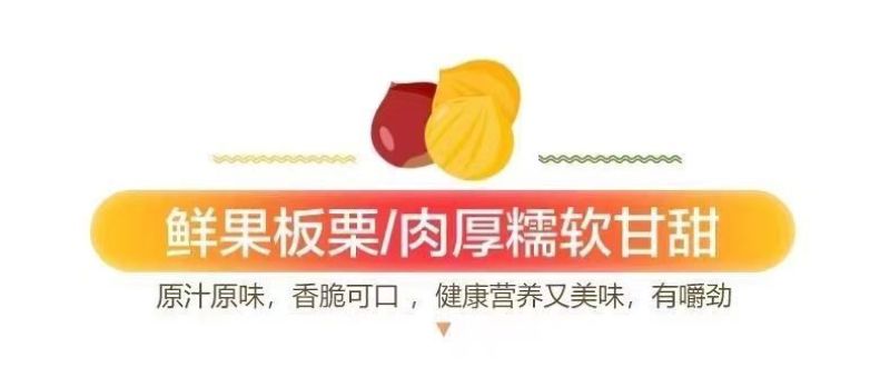 包邮）正宗丹东板栗当季新货新鲜板栗栗子高山农家毛栗子
