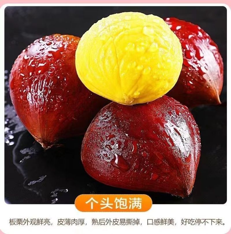 包邮）正宗丹东板栗当季新货新鲜板栗栗子高山农家毛栗子