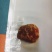 鸡宝，