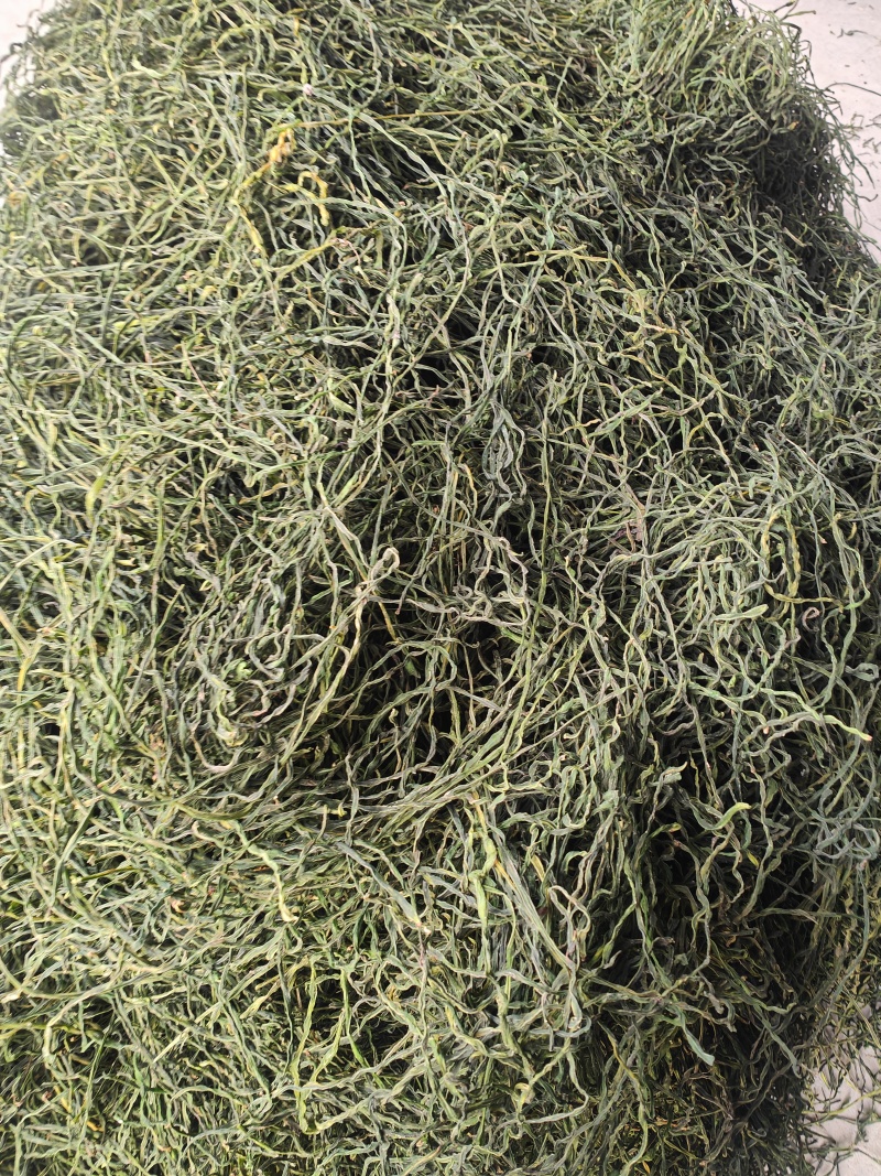烘干绿豇豆电商专用