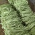 精品青珠豆角基地直供大量有货品质优现摘现发可视频看货