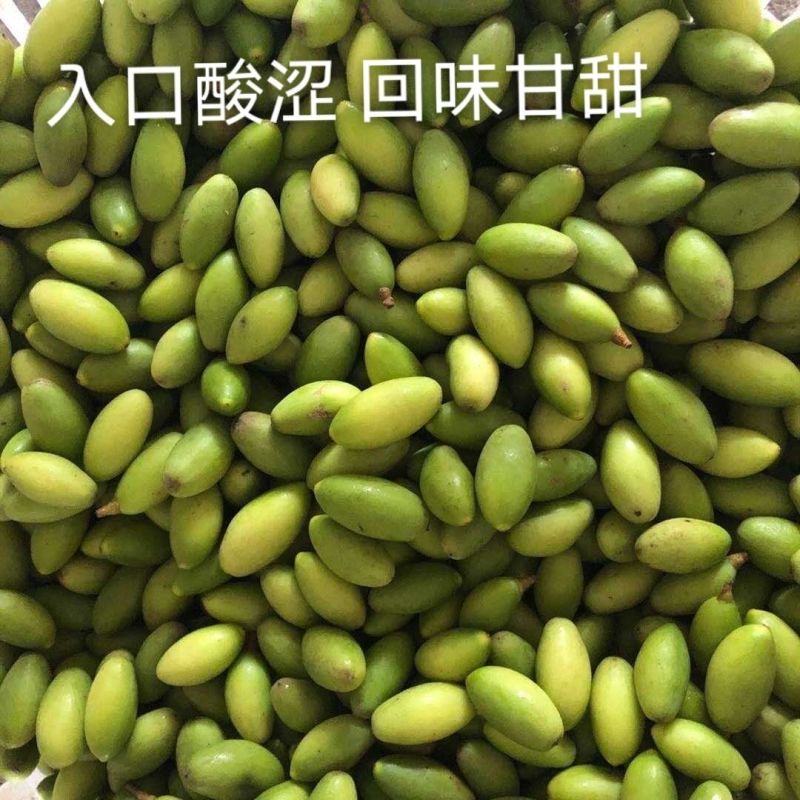 包邮）新鲜两头尖橄榄果新鲜现摘现发青果纯正天然原味青橄榄