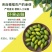 包邮）新鲜两头尖橄榄果新鲜现摘现发青果纯正天然原味青橄榄