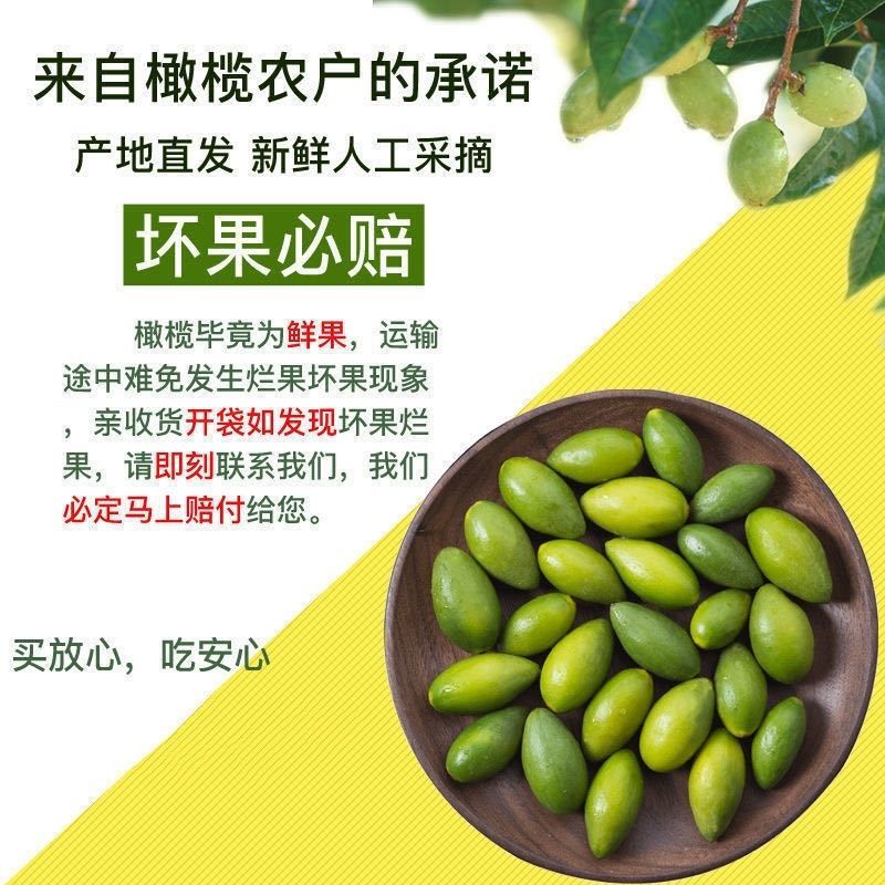 包邮）新鲜两头尖橄榄果新鲜现摘现发青果纯正天然原味青橄榄