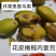 包邮）新鲜两头尖橄榄果新鲜现摘现发青果纯正天然原味青橄榄