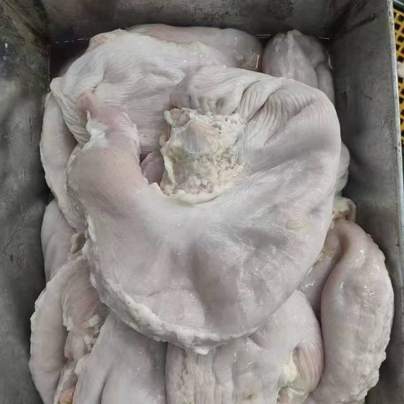 红面猪肚/白面猪肚现货