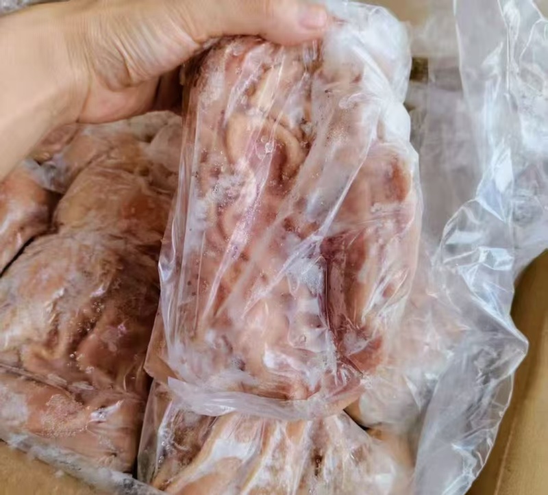 红面猪肚/白面猪肚现货