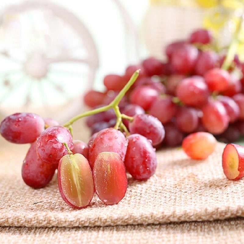 广西精选无籽克伦生提子当季新鲜葡萄现摘现发老少皆宜甜薄皮