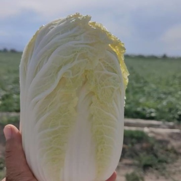 香甜可口，