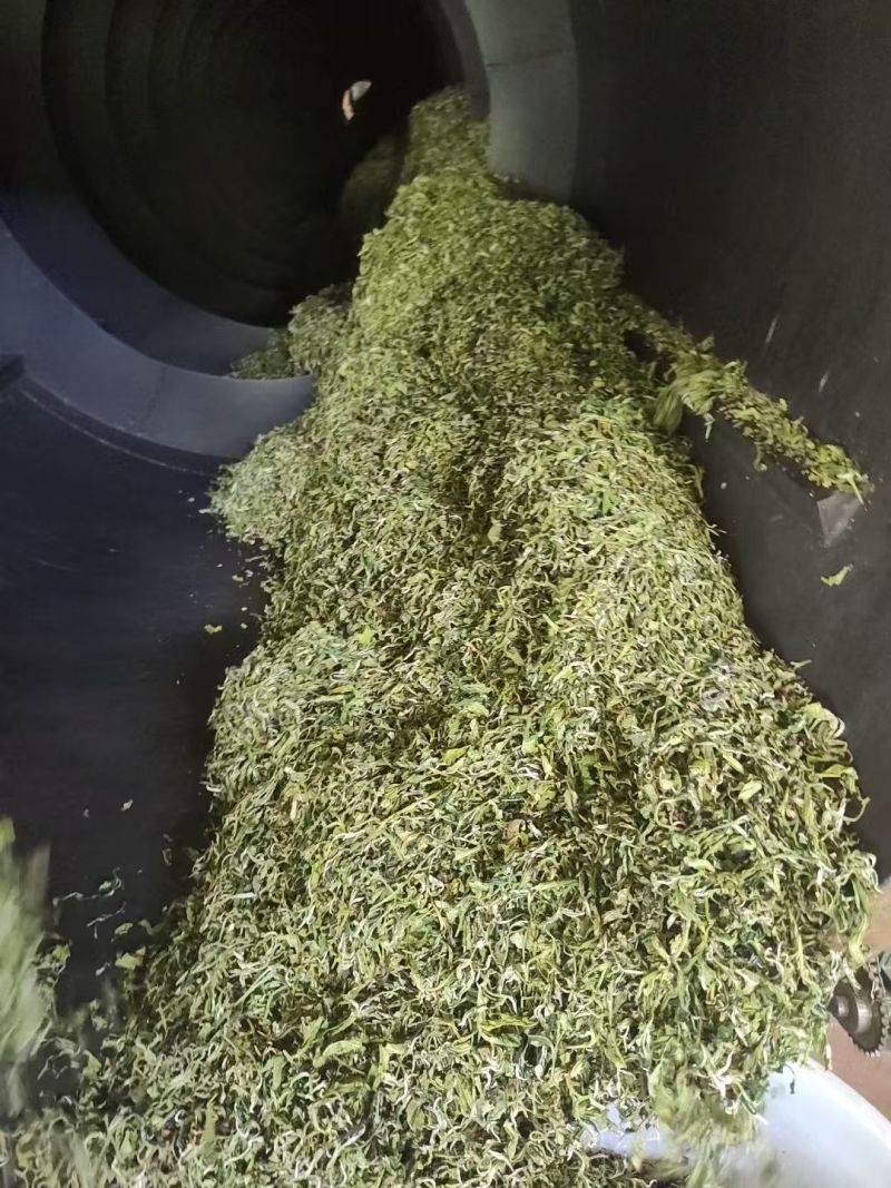 滇绿茶，产地直发，质量**，赚钱其次。100斤以上价更优
