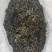 滇绿茶，产地直发，质量**，赚钱其次。100斤以上价更优
