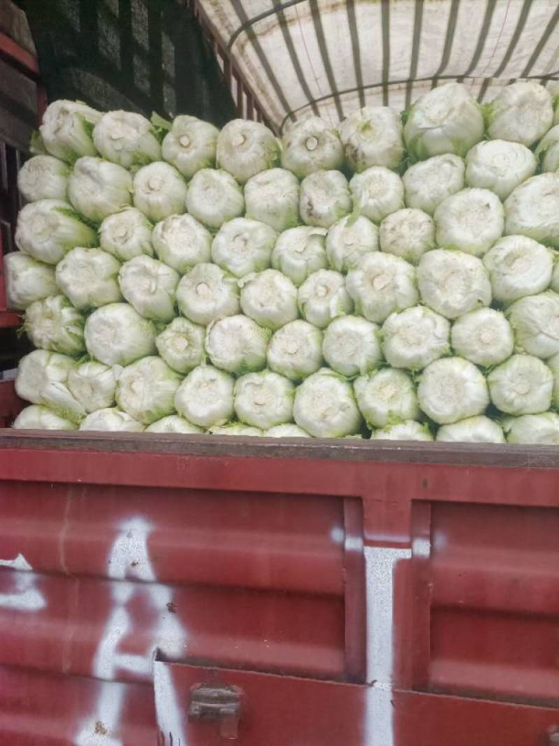 新鲜，