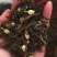云南茉莉花有机红茶，产地直发.100斤以上价优，合作详谈