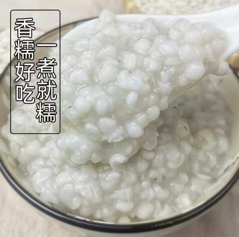 糯薏仁品质保证服务周到产地直发价格美丽
