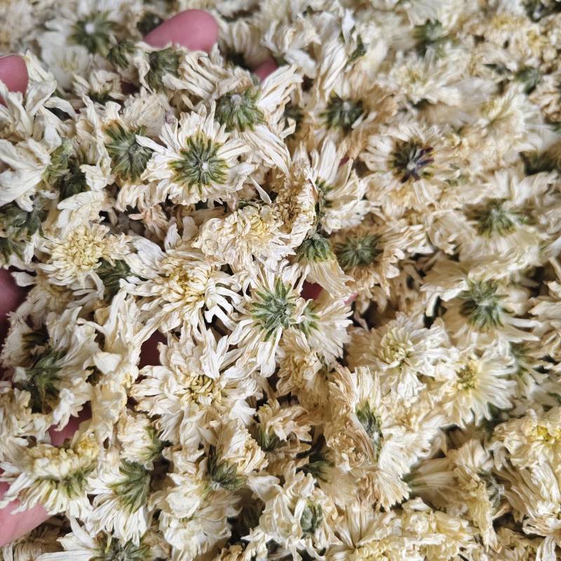 七月菊批发零售七月菊干花量大从优