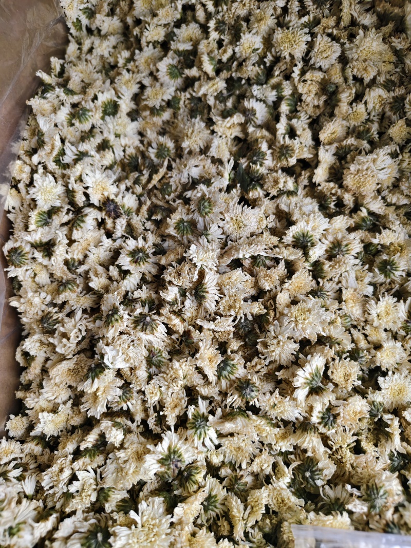 七月菊批发零售七月菊干花量大从优