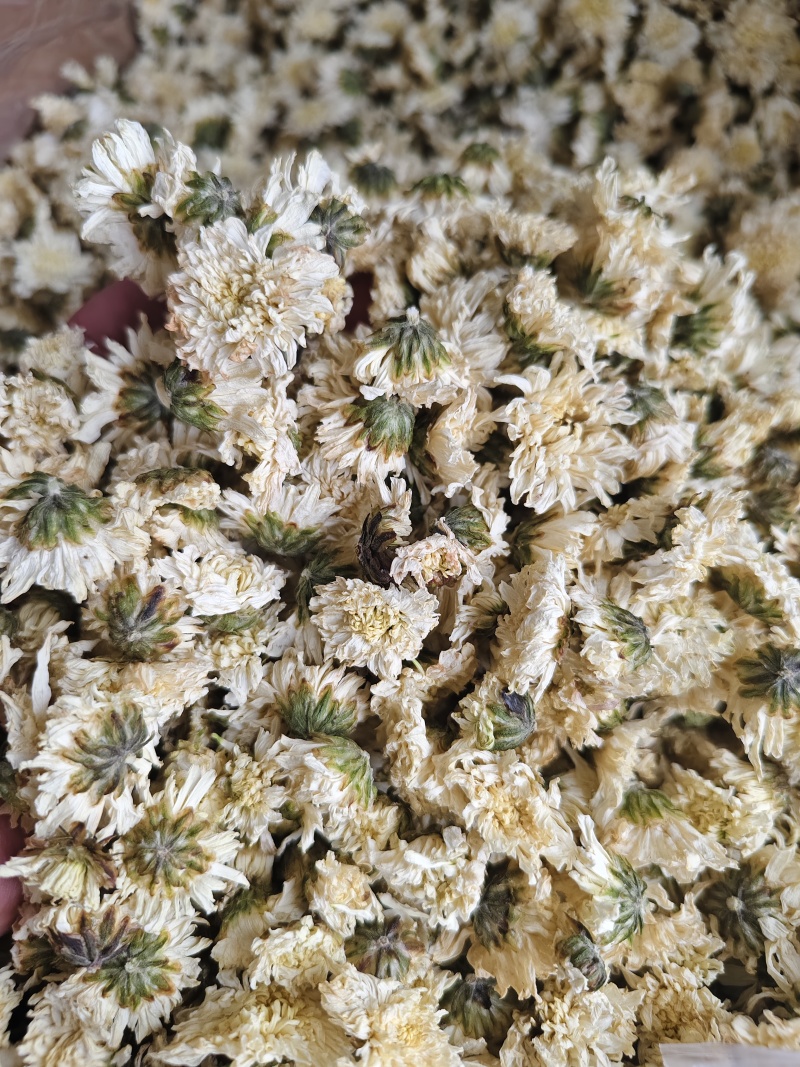 七月菊批发零售七月菊干花量大从优