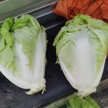 河南夏阳白夏阳白菜鸡腿白菜黄心白菜新乡小包欢迎来电