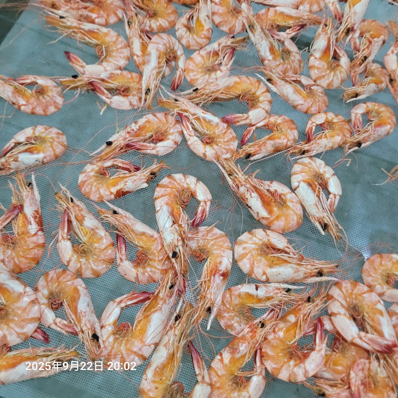 东方对虾干