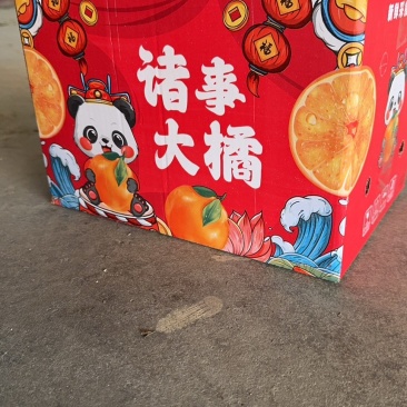 （一件代发）爱媛38号果冻橙