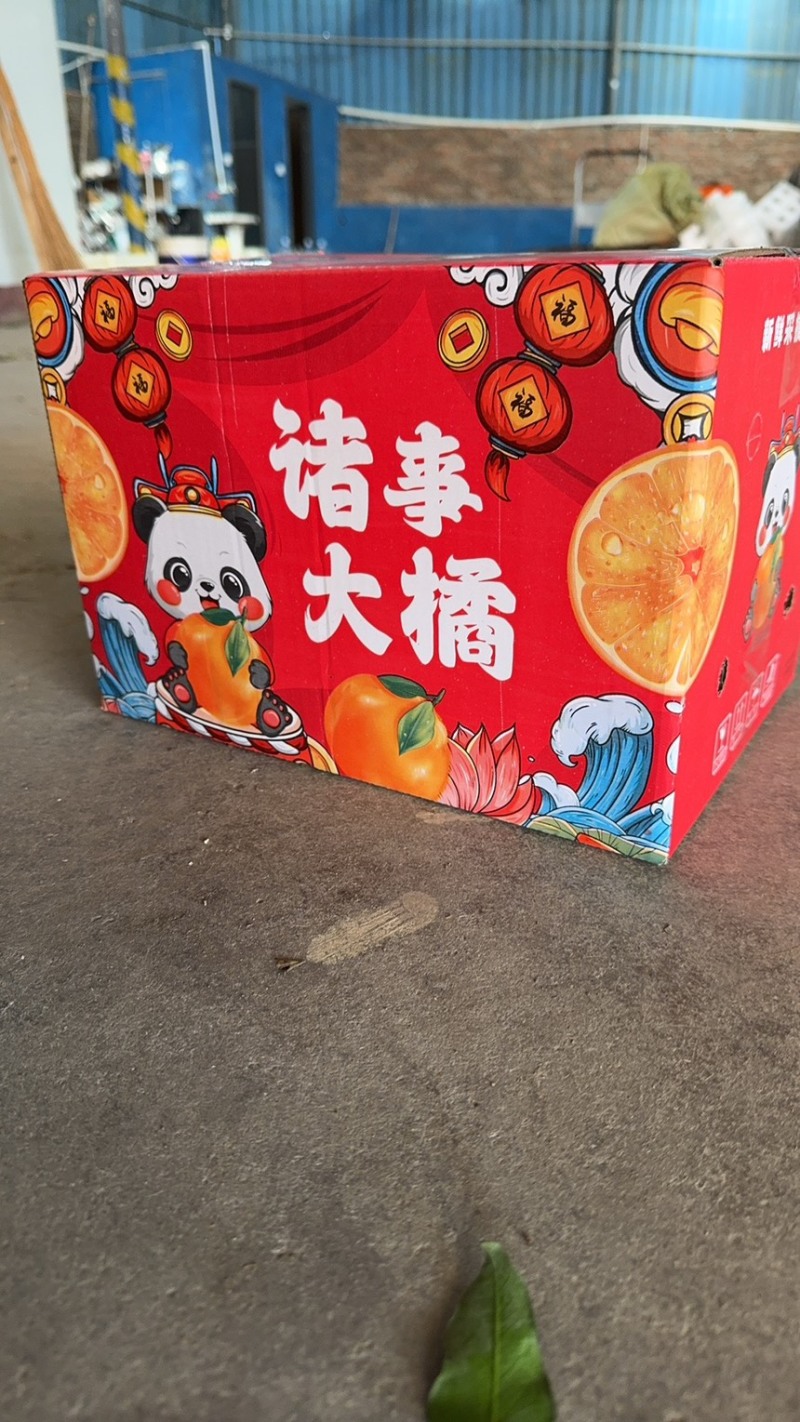 （一件代发）爱媛38号果冻橙