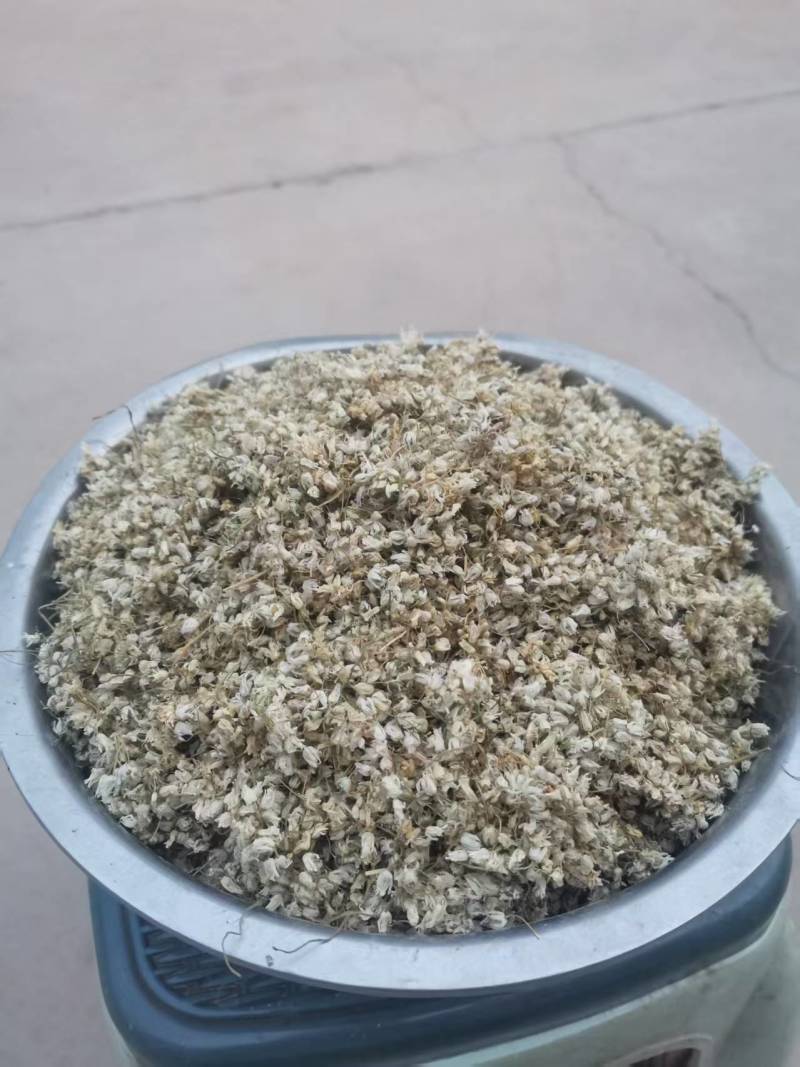 甘肃野生羊胡子花白头翁花货源充足量大从优质量保证欢迎咨询