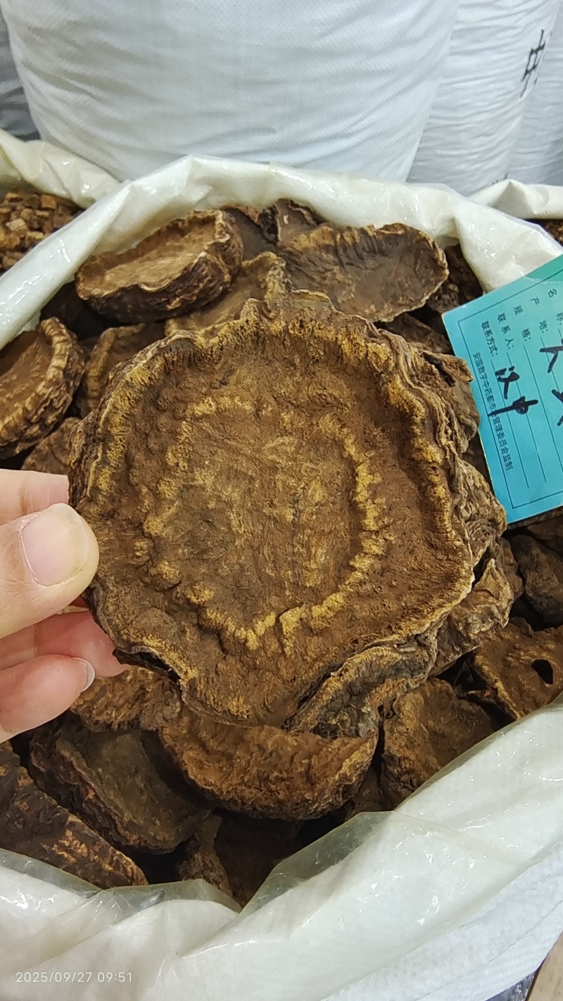 大黄甘肃西大黄干货量大从优